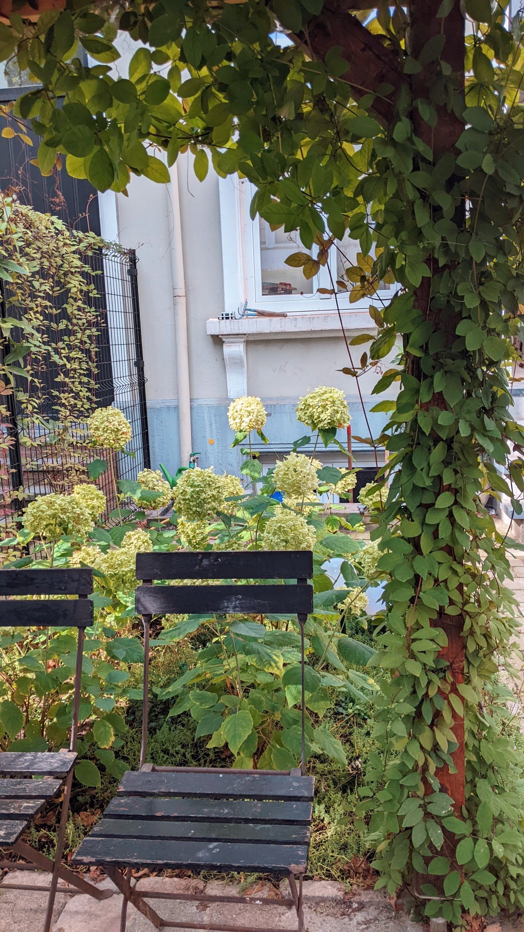 PXL_20240907_092529520.MP~2