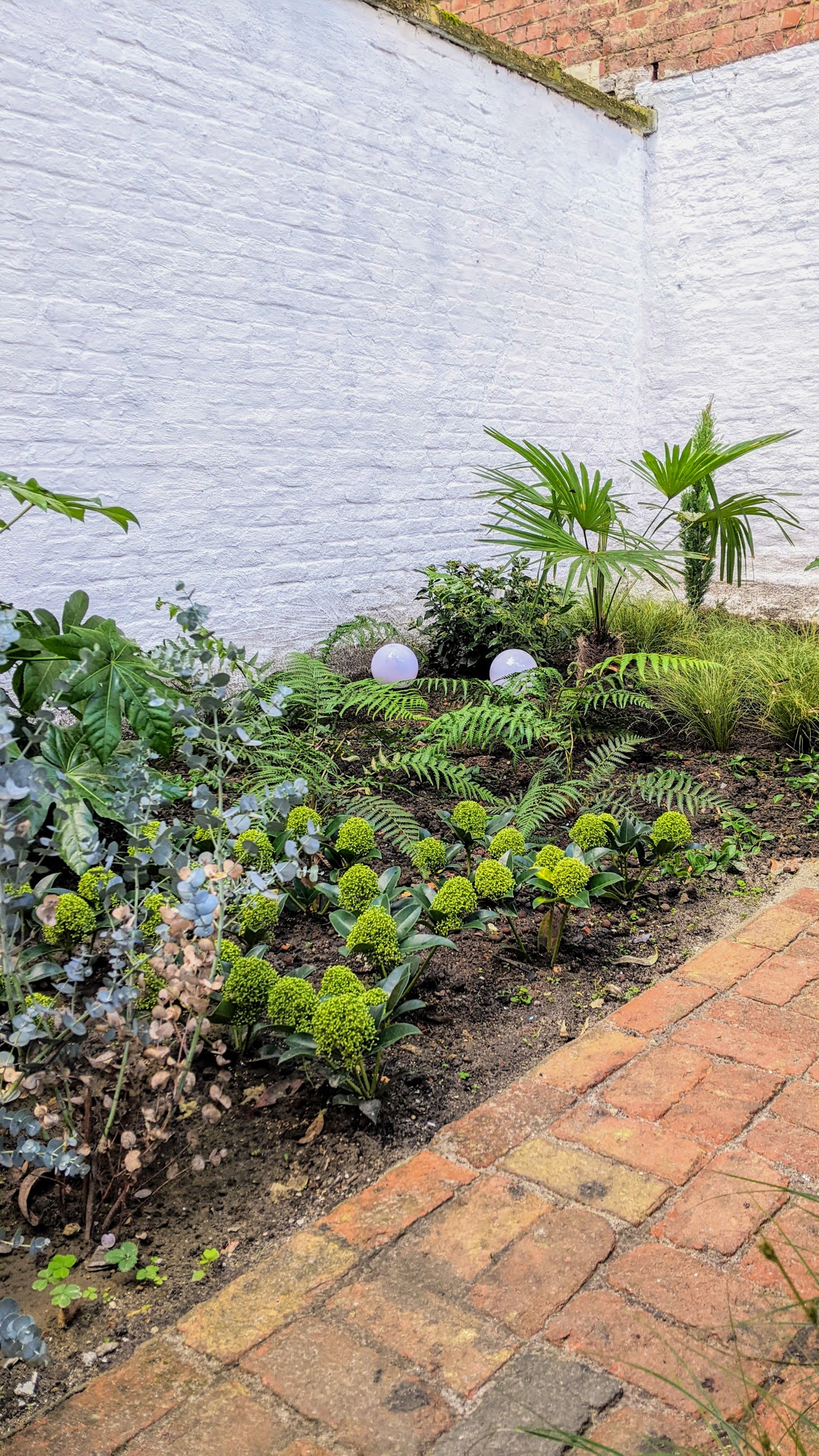 PXL_20241111_124750065.MP