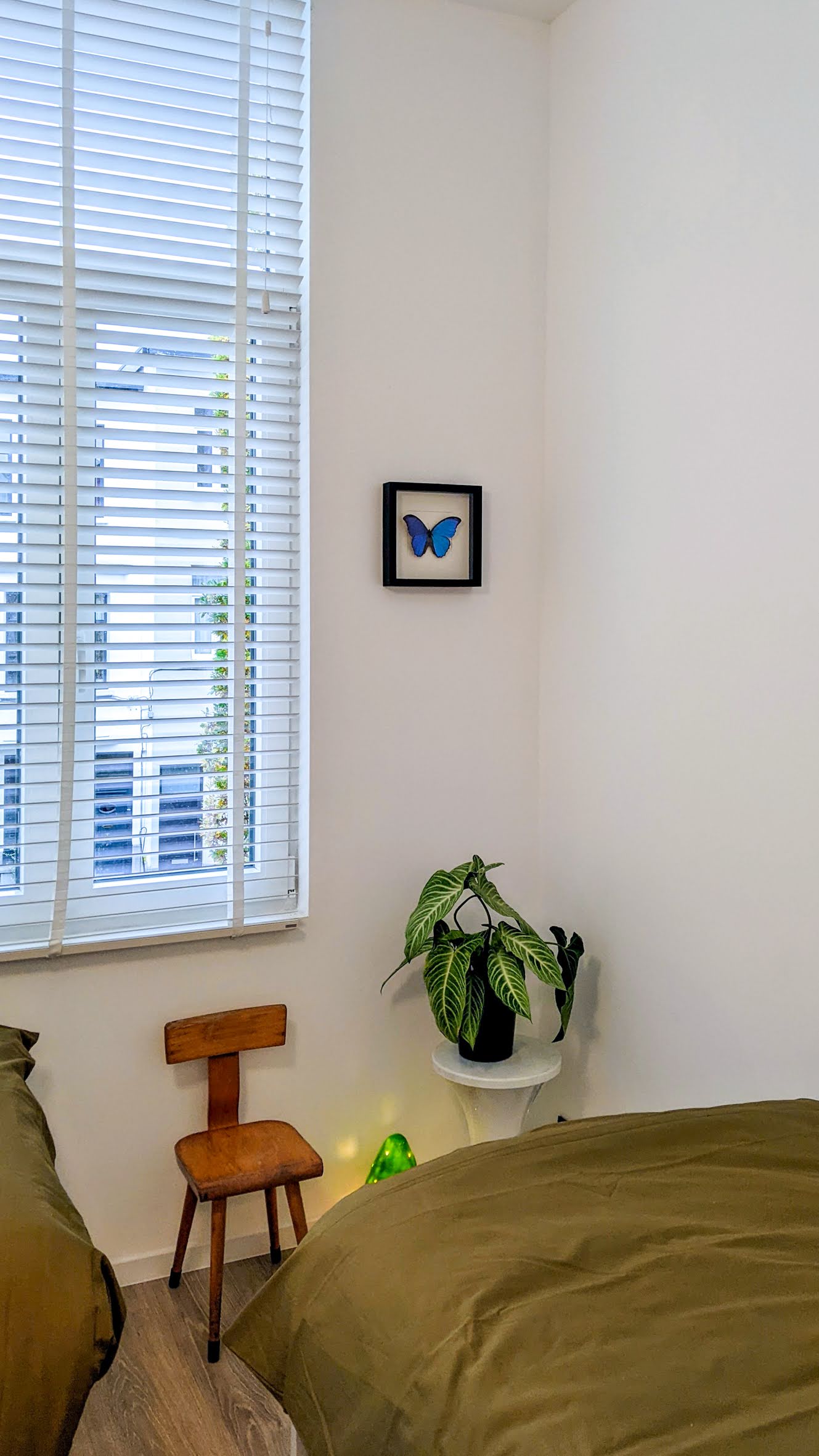 PXL_20241115_095545088.MP