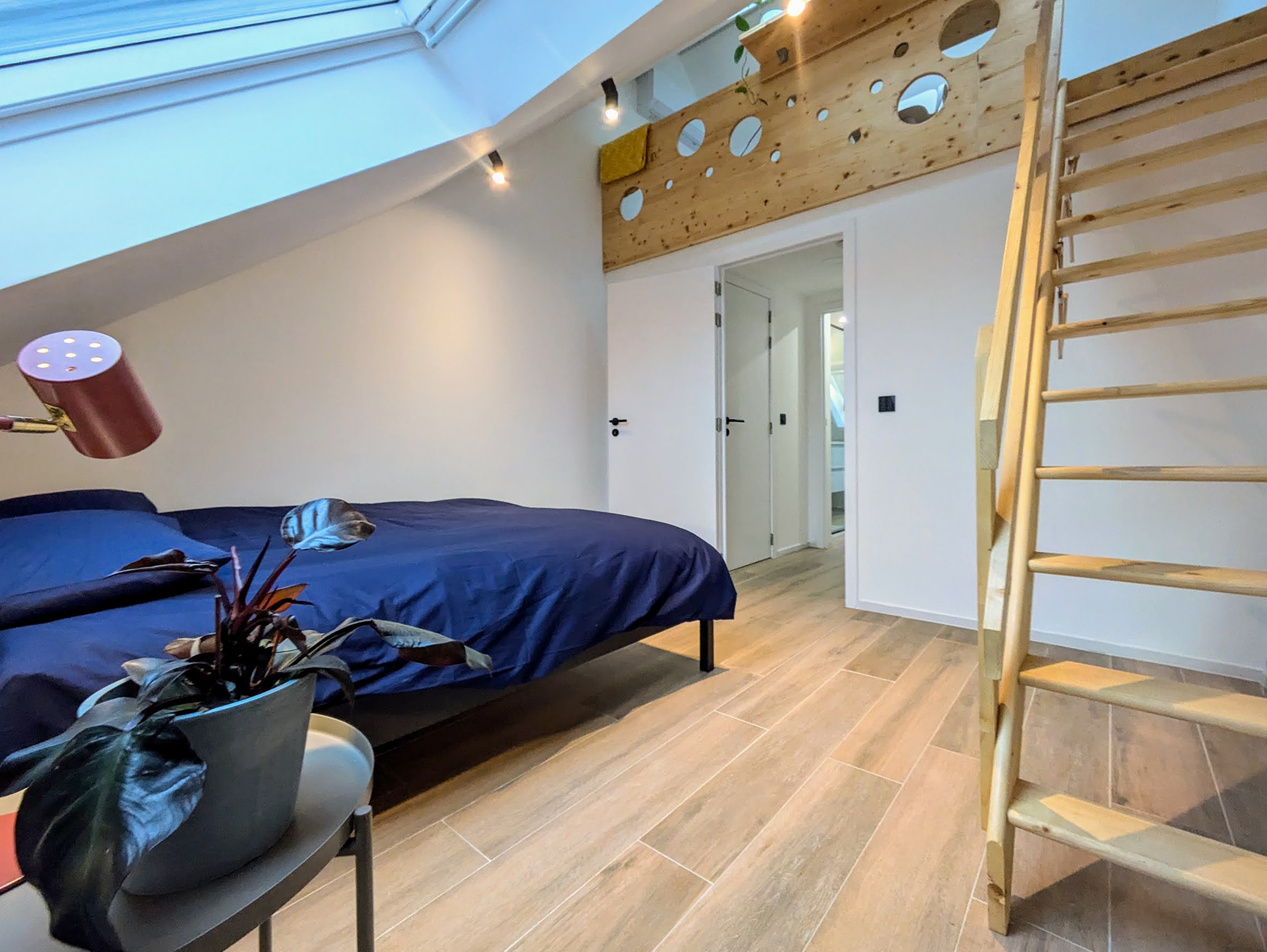 PXL_20241115_134234081