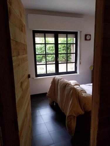 MVIMG_20200510_152120